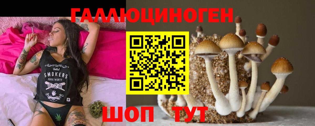 Псилоцибиновые грибы Magic Shrooms  Галлюциногенные грибы Psilocybe  Семилуки  Вход с VPN 