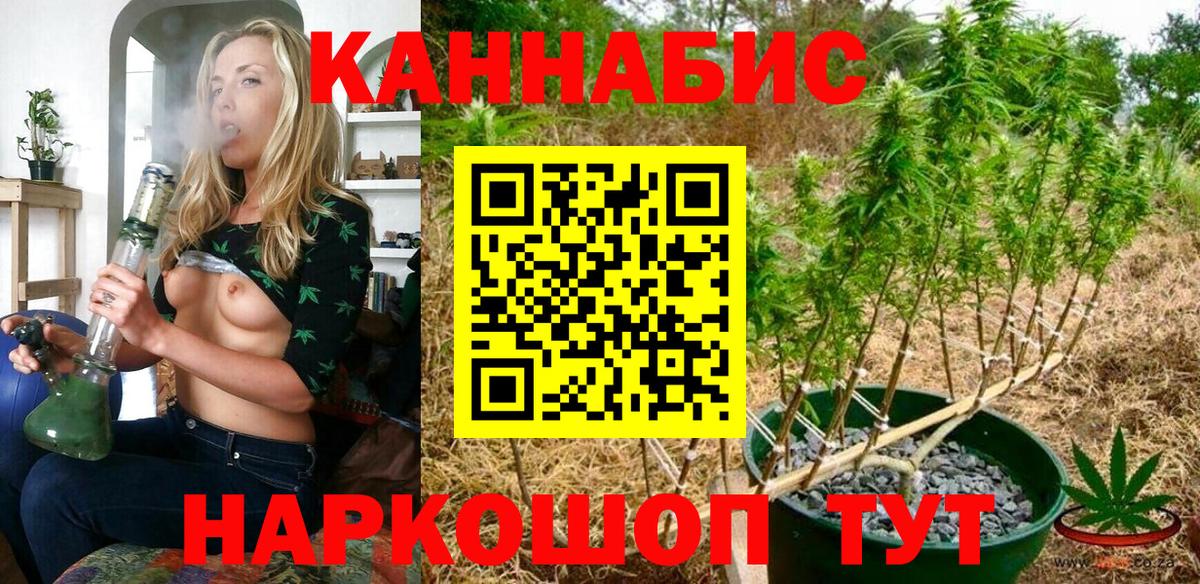 Семилуки  Шишки марихуана план  Вход с VPN  Бошки марихуана SATIVA & INDICA 